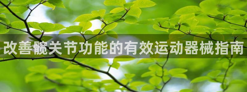 凯时AG网：改善髋关节功能的有效运动器械指南