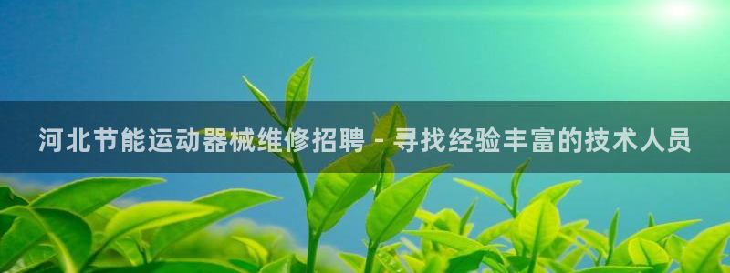 凯时ag旗舰厅网址是什么：河北节能运动器械维修招聘 