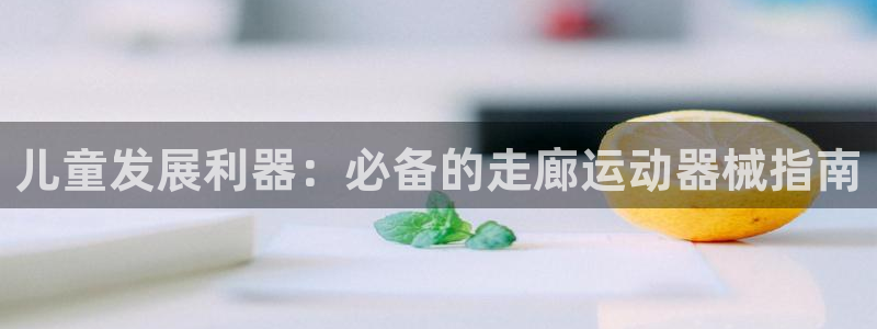 尊龙app登录不了：儿童发展利器：必备的走廊运动器械