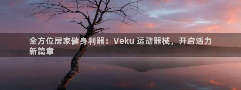 全方位居家健身利器：Veku 运动器械，开启活力
新